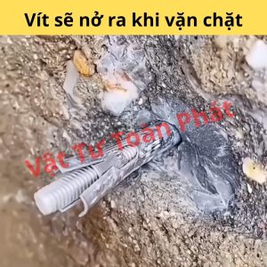 tắc kê nở bắt tường